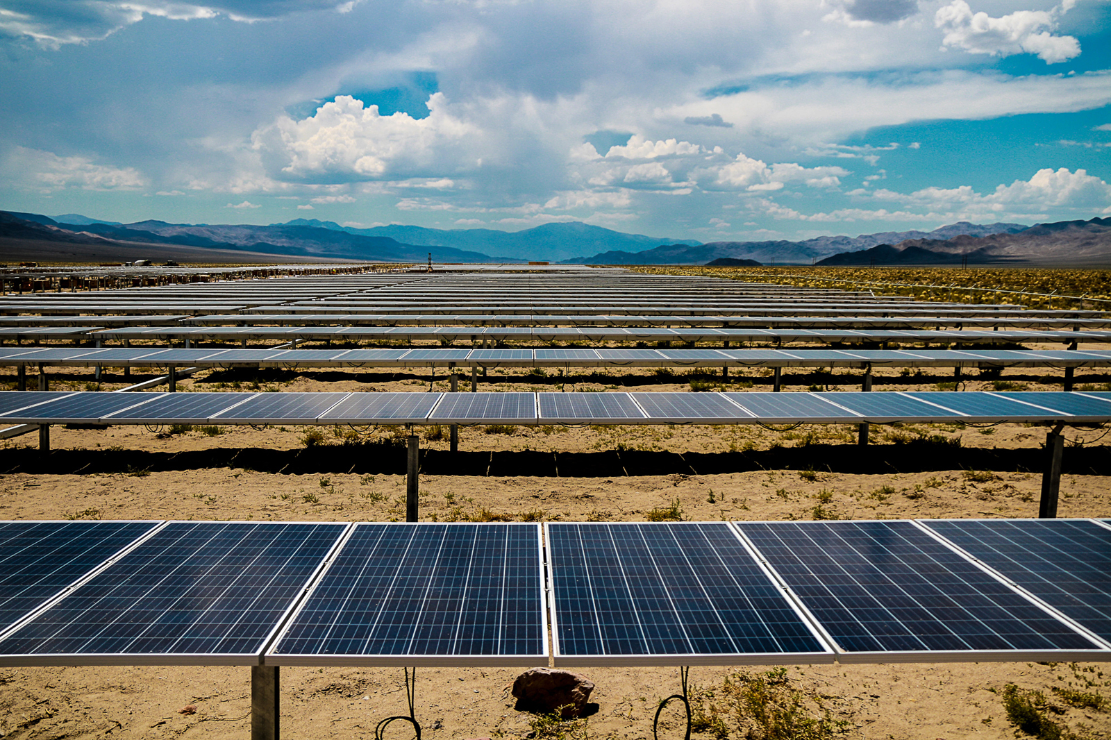 Solar panels in field